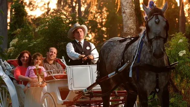 HORSE-DRAWN MAGIC -- Private, horse-drawn carriage rides are now offered nightly at Disney's Fort Wilderness Resort & Campground, one of the "home away from home"-category resorts at Walt Disney World in Lake Buena Vista, Fla.  Guests experience a leisurely 30-minute excursion through the secluded beauty of the Walt Disney World backwoods.  Guests are encouraged to make reservations up to 60 days in advance by calling 407-824-2832. carriage005