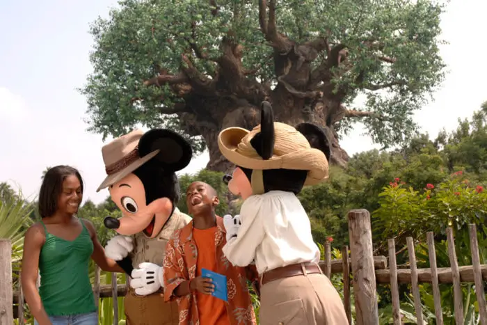 Mickey, Minnie Animal Kingdom