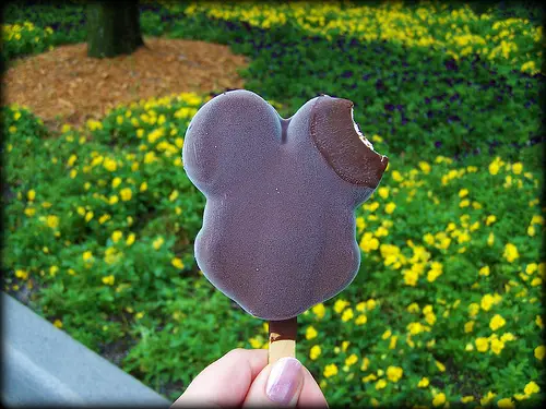 12 Things to Try at Disney World