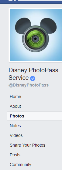 How Do I Know Where Magic Shots Can Be Taken At Walt Disney World? 1