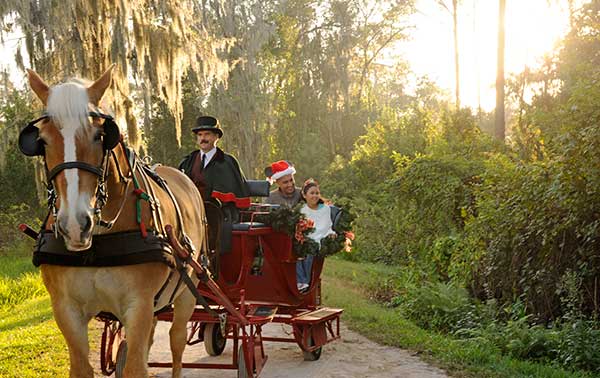 10 Things You Might Not Have Known You Could Do at Your Walt Disney World Resort 4