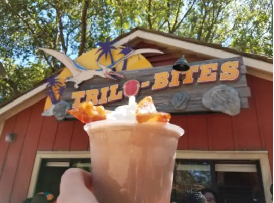 7 Must-Try Milkshakes at Walt Disney World 5