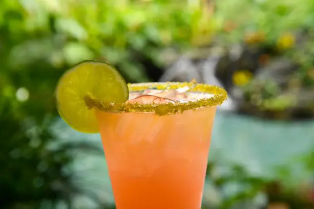 7 of Our Favorite Margaritas at Walt Disney World 2